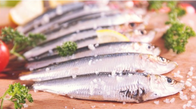 Tây Ban Nha bãi bỏ VAT có thể giúp tiêu thụ cá sẽ tăng thêm 100 triệu kg 