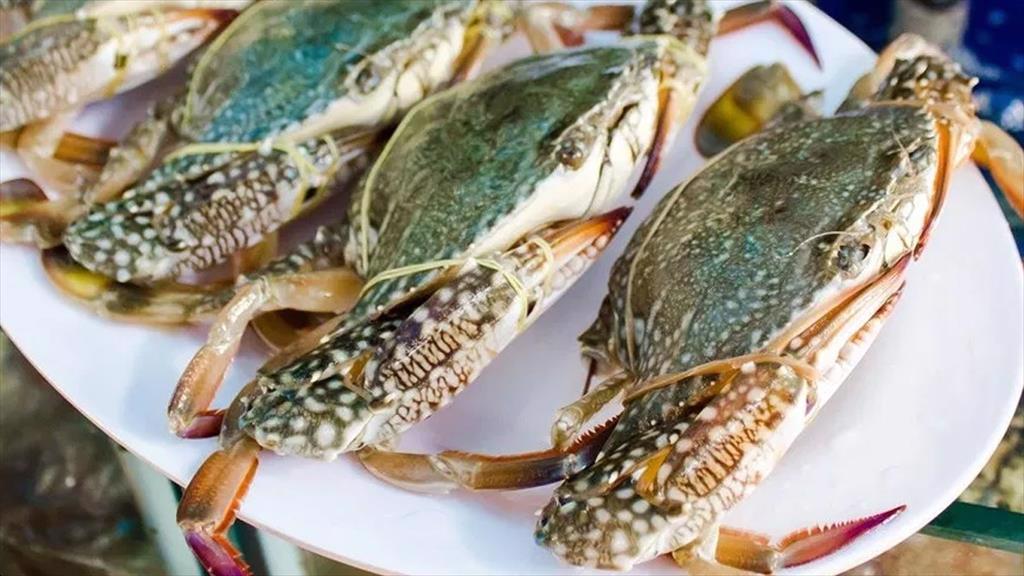 Hoa Kỳ duy trì tốc độ nhập khẩu ghẹ mạnh mẽ giá ghẹ loại thấp hơn giảm nhẹ