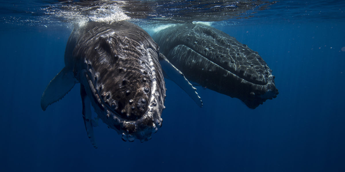 Quyết định về Kết quả So sánh năm 2025 dành cho các nước đánh bắt hải sản