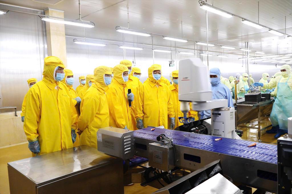 Minh Phú kiến nghị tháo gỡ điểm nghẽn lao động nâng sức cạnh tranh ngành tôm