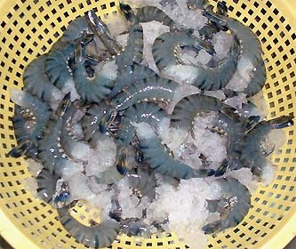 Nhập khẩu tôm vào Nhật Bản tháng 22012