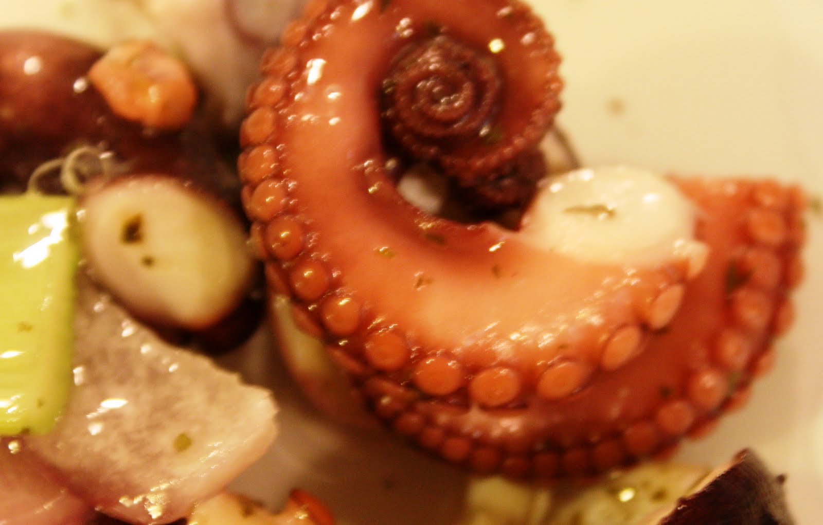 Thị trường mực, bạch tuộc Tây Ban Nha, tuần 17 (23-29042012)