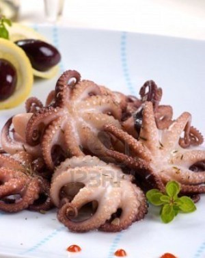 Thị trường bạch tuộc Thái Lan, tháng 32012 