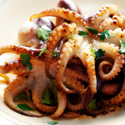 Thị trường mực, bạch tuộc Tây Ban Nha, tuần 12 (19 – 2532012) 