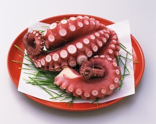 Nhập khẩu bạch tuộc vào Thái lan, tháng 12012