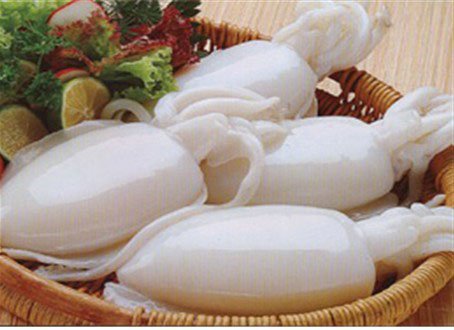 Thị trường mực – bạch tuộc Tây Ban Nha tuần 24 (11 – 1762012)