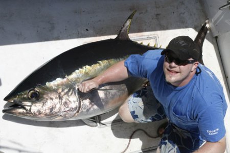 Thị trường cá ngừ mắt to đông lạnh EU tháng 1 - 112011