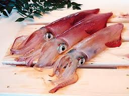 Thị trường mực ống Trung Quốc tháng 62013