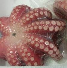 Nhập khẩu bạch tuộc vào Trung Quốc tăng 50% trong tháng 82013