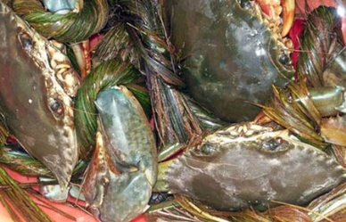 Thị trường cua - ghẹ Trung Quốc tháng 32013