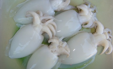 Nhập khẩu mực nang Nhật Bản tháng 82013