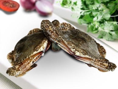 Thị trường cua ghẹ Trung Quốc tháng 82013