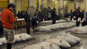 Thị trường cá ngừ mắt to và vây xanh Nhật Bản tháng 122012