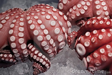 Thị trường bạch tuộc Nhật Bản tháng 52013