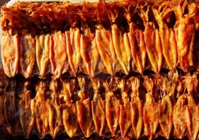 Thị trường mực ống Thái Lan tháng 62012