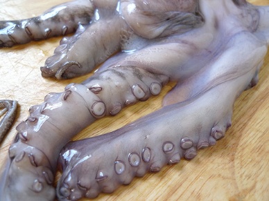 Thị trường mực – bạch tuộc Tây Ban Nha tuần 31 (307 – 582012)