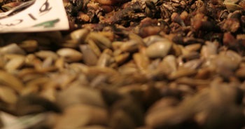 EU giảm nhập khẩu vẹm, điệp năm 2012