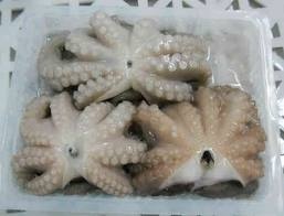 Thị trường bạch tuộc Trung Quốc tháng 112012