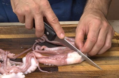 Thị trường bạch tuộc Mỹ tháng 32013