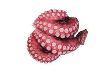 Thị trường bạch tuộc Thái Lan tháng 42013