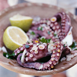 Thị trường bạch tuộc Mỹ tháng 42013