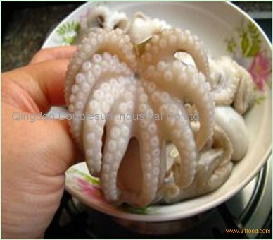 Thị trường mực – bạch tuộc Tây Ban Nha tuần 10 (4 – 1032013)