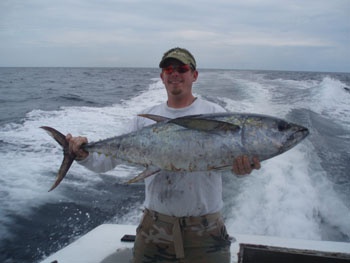 Thị trường cá ngừ Tây Ban Nha tuần 51 (17 – 23122012)