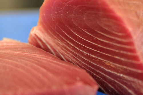 Thị trường cá ngừ Tây Ban Nha tuần 13 (263 – 142012)