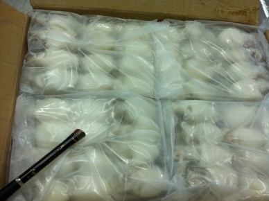 Thị trường mực nang đông lạnh Nhật Bản tháng 72012