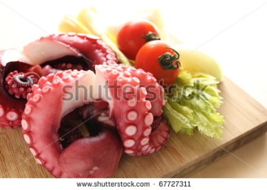 Thị trường bạch tuộc Nhật Bản tháng 102012