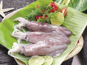 Thị trường mực ống Nhật Bản tháng 112012