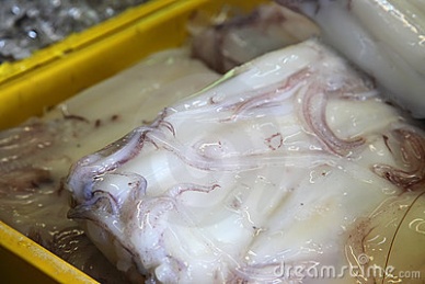 Thị trường mực ống Nhật Bản tháng 122012