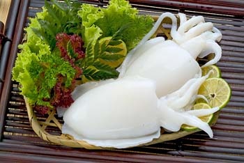 Thị trường mực nang đông lạnh Nhật Bản tháng 12013