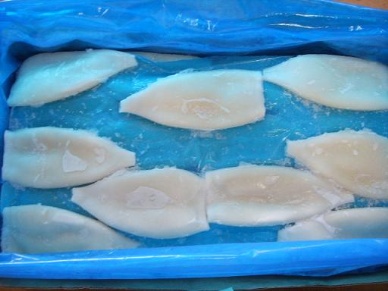 Thị trường mực ống Nhật Bản tháng 22013