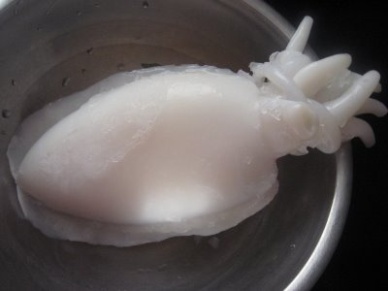 Thị trường mực nang đông lạnh Nhật Bản tháng 22013