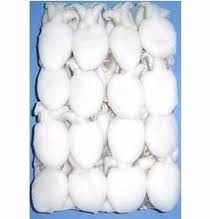 Thị trường mực nang đông lạnh Nhật Bản tháng 42013