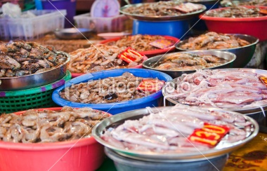 Thị trường mực nang Thái Lan tháng 82012