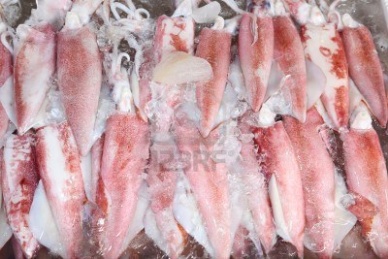 Thị trường mực ống Mỹ tháng 82012