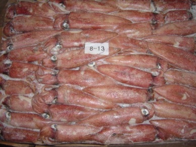 Thị trường mực ống Mỹ tháng 92012