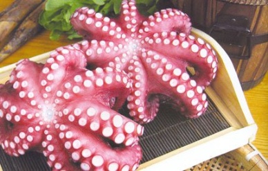 Thị trường bạch tuộc Thái Lan tháng 102012