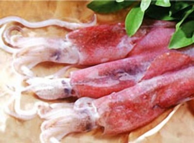 Thị trường mực ống Mỹ tháng 122012