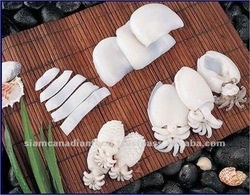 Thị trường mực nang Thái Lan tháng 12013