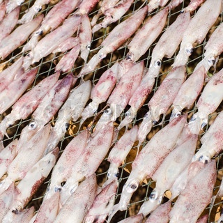 Thị trường mực ống Thái Lan tháng 12013