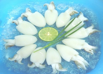 Thị trường mực nang Thái Lan tháng 52013 