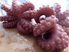 Nhật Bản Thương mại bạch tuộc tháng 92013