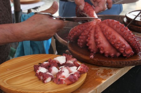 Thị trường mực, bạch tuộc Tây Ban Nha tuần 28 (9 – 1572012)