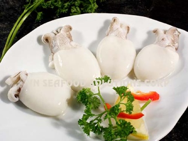 Thị trường mực – bạch tuộc Tây Ban Nha tuần 50 (10 – 16122012)