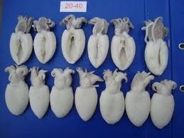 Thị trường mực-bạch tuộc Tây Ban Nha tuần 42 (14 – 20102013)