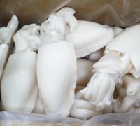 Mỹ Xuất nhập khẩu mực nang tháng 102013