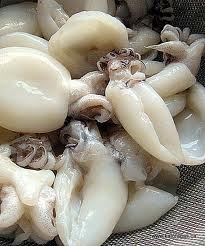 Thị trường mực nang Thái Lan tháng 122012